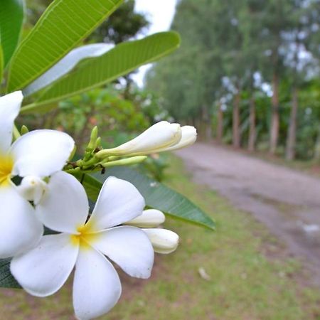 The Grand Jamjuree Resort Lamphun Exteriör bild