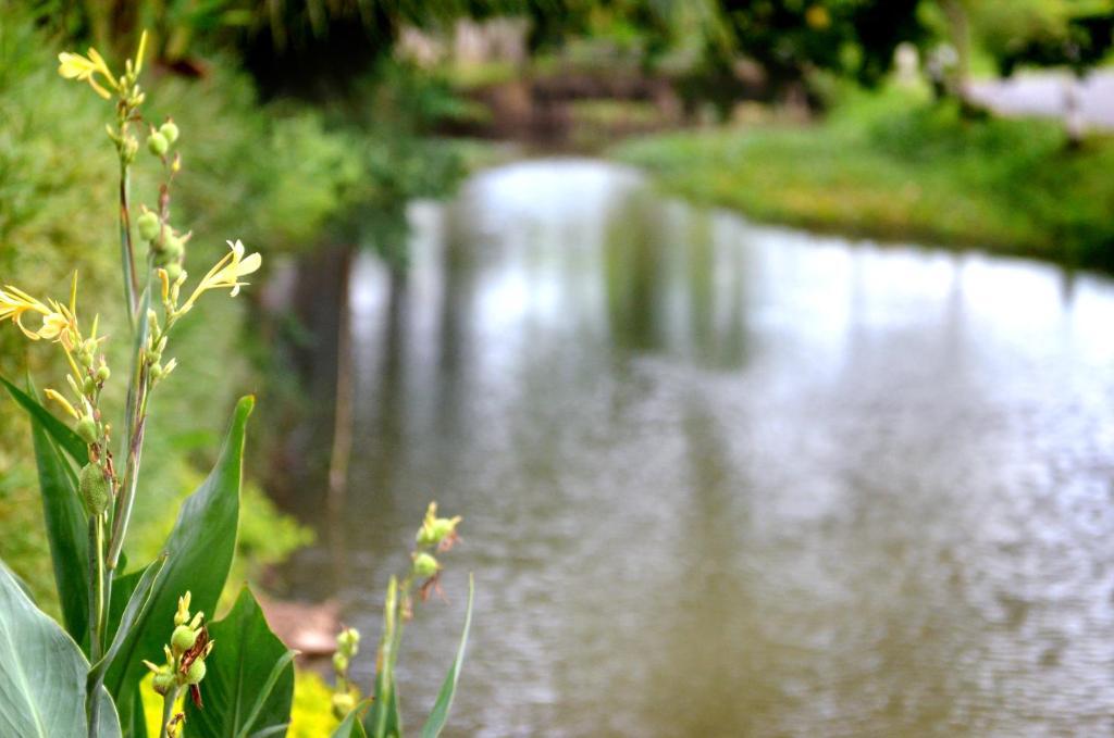 The Grand Jamjuree Resort Lamphun Rum bild